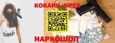 крисы Кулебаки