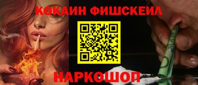 крисы Кулебаки