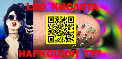 крисы Кулебаки