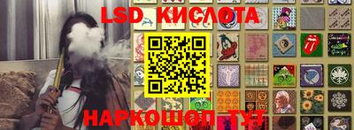 крисы Кулебаки