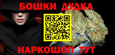 крисы Кулебаки