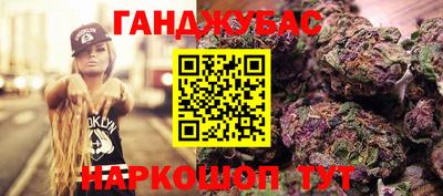 крисы Кулебаки